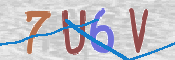 Image Anti-spam