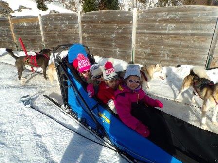 site pour rencontre chiens