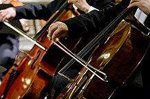 violoncelles